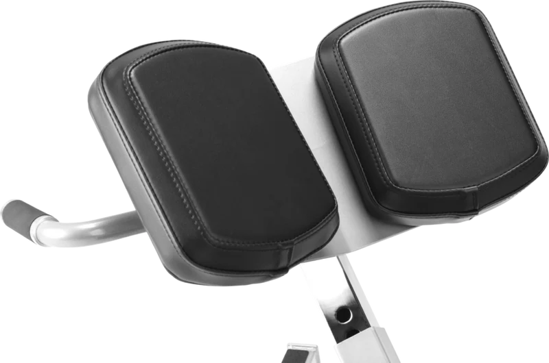FreeMotion EF206 45° Back Extension