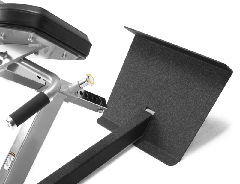 FreeMotion EF206 45° Back Extension