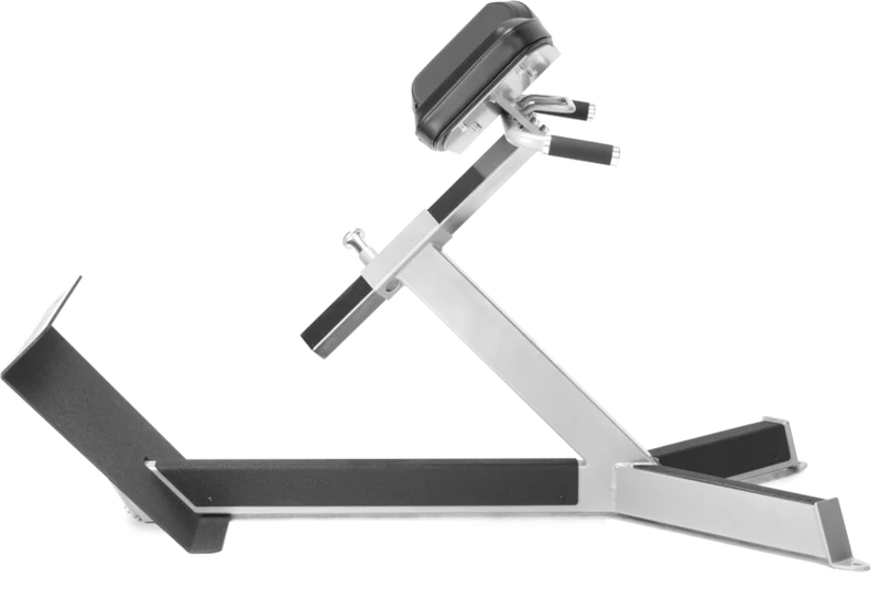 FreeMotion EF206 45° Back Extension