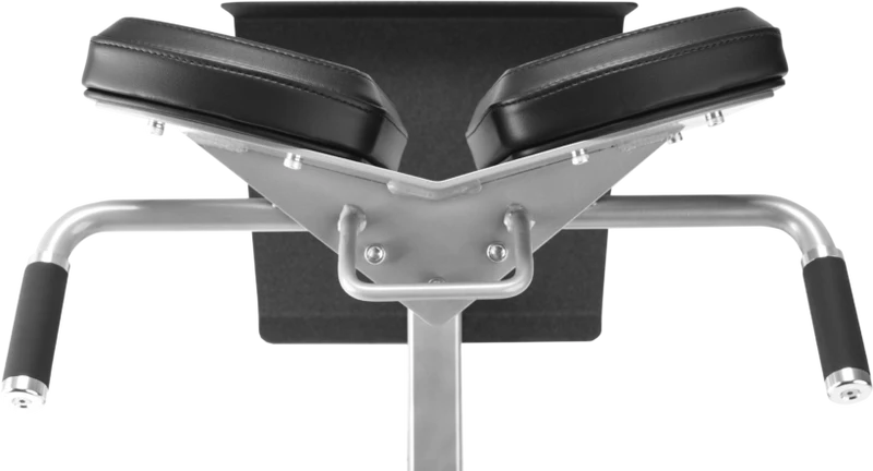 FreeMotion EF206 45° Back Extension