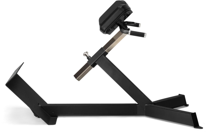 FreeMotion EF206 45° Back Extension