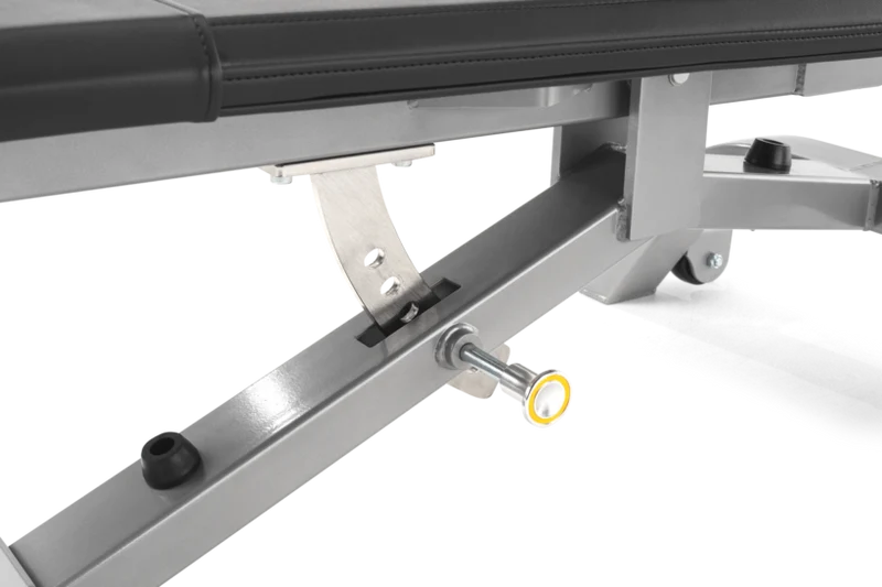 FreeMotion EF213 Abdominal Bench