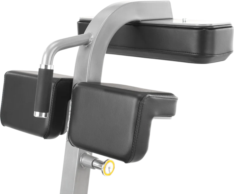 FreeMotion EF213 Abdominal Bench