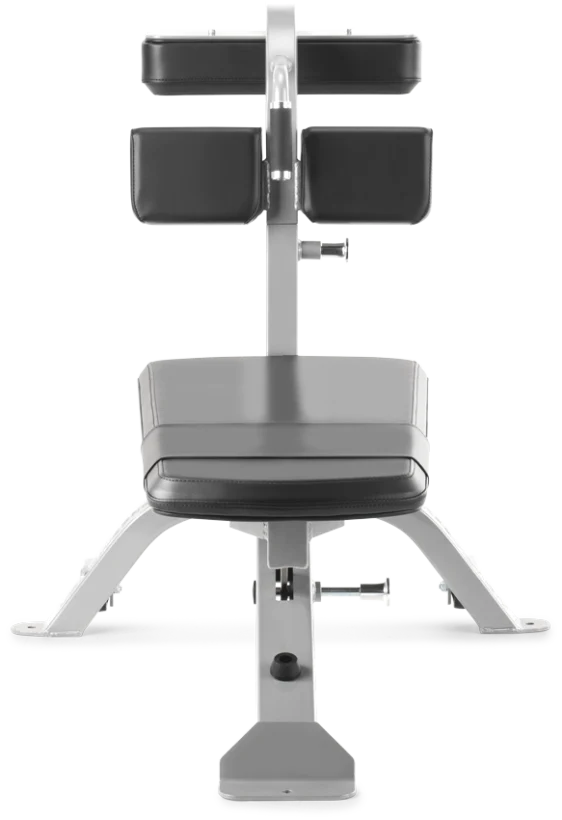 FreeMotion EF213 Abdominal Bench