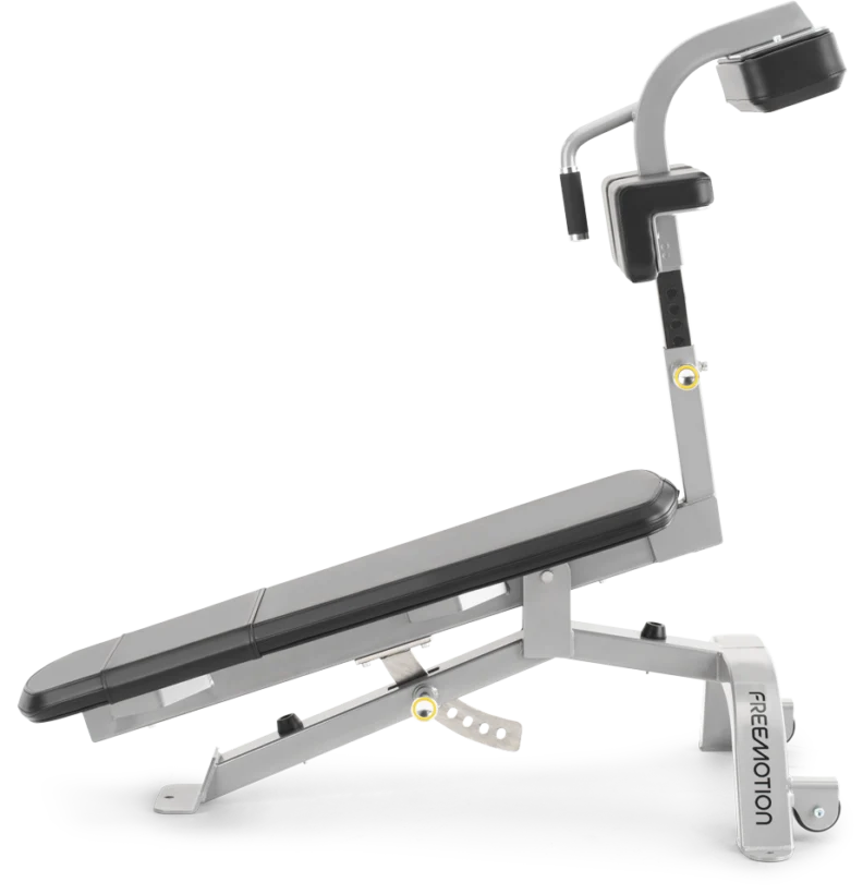 FreeMotion EF213 Abdominal Bench