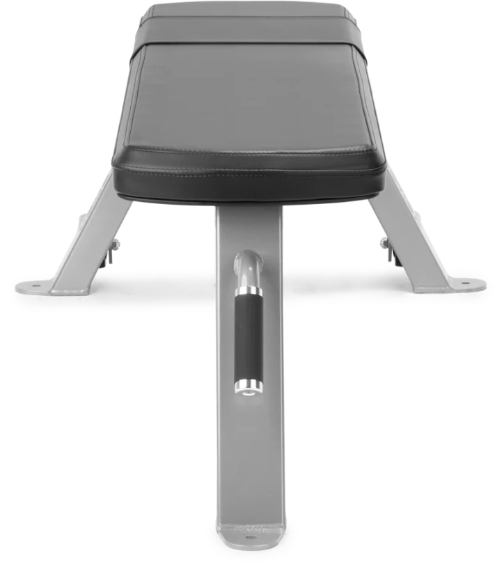 FreeMotion EF201 Flat Bench