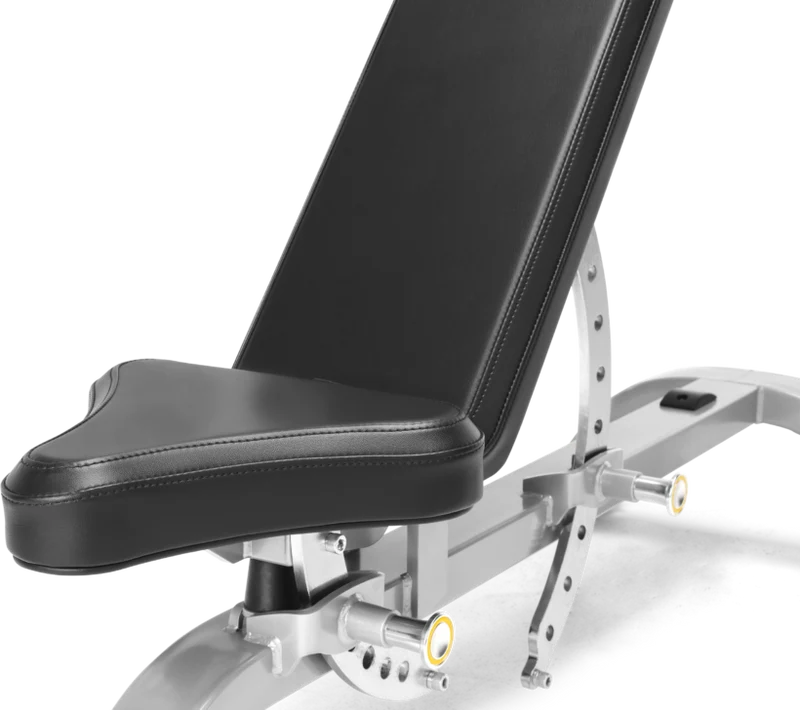 FreeMotion EF203 Adjustable Bench