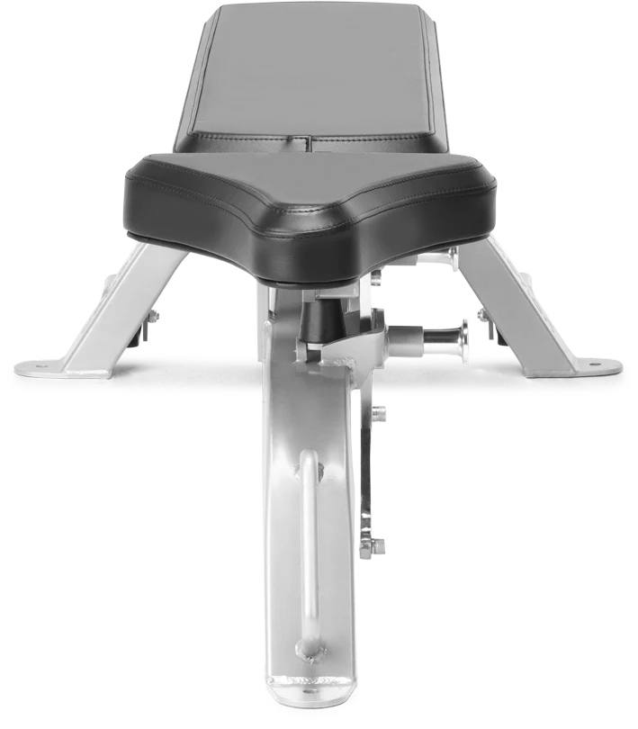 FreeMotion EF203 Adjustable Bench