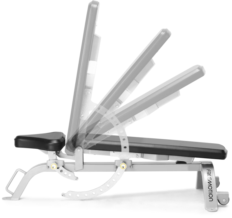 FreeMotion EF203 Adjustable Bench