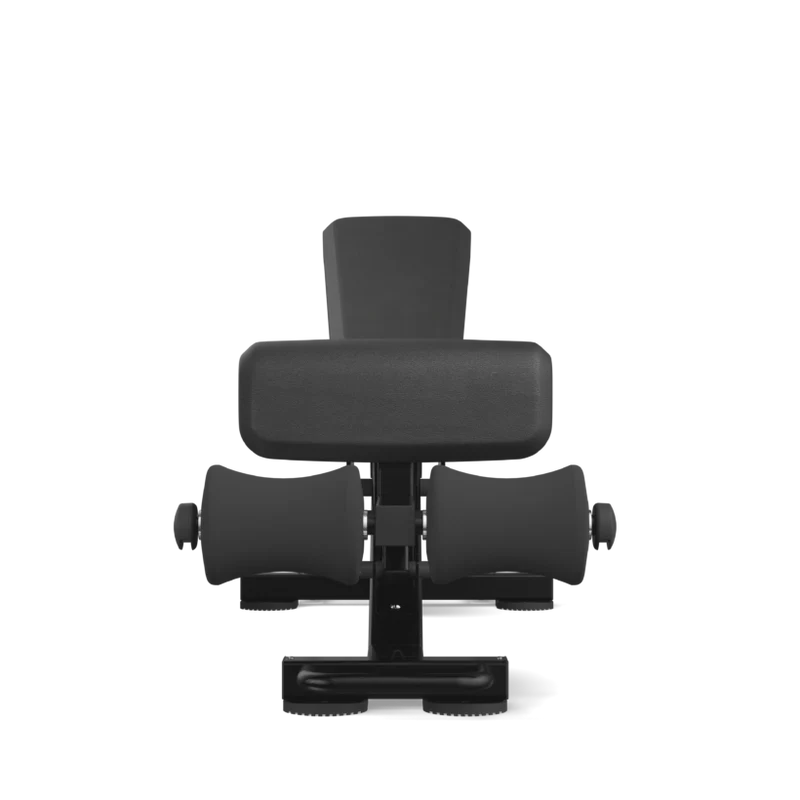 FreeMotion FMDY509063 FID Bench