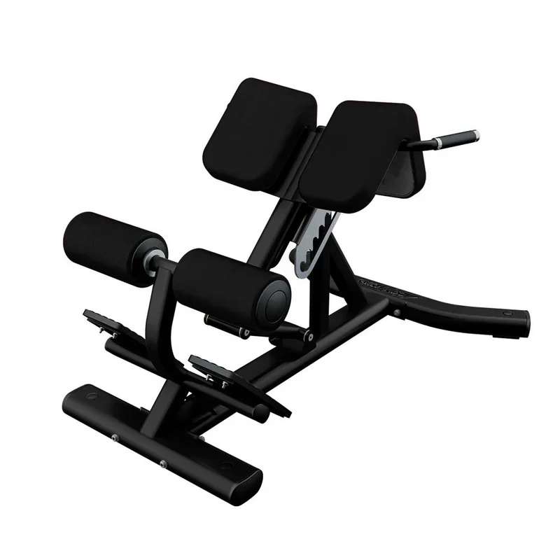 Life Fitness Back Extension