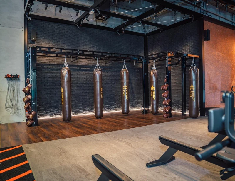 PaviFlex Fitness Pro