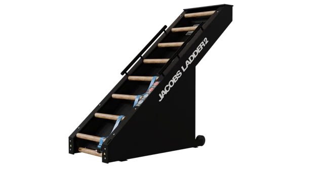 StairMaster Jacobs Ladder JL2 Climber