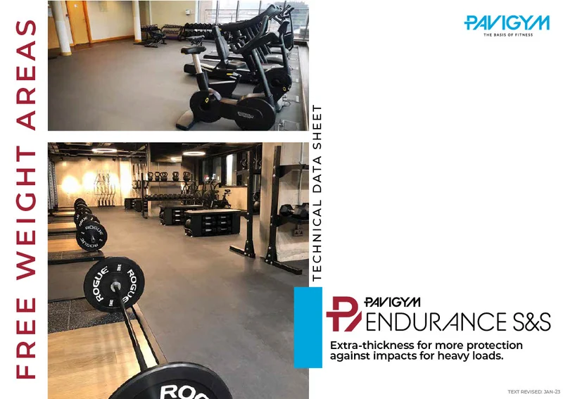 Pavigym Endurance S&S