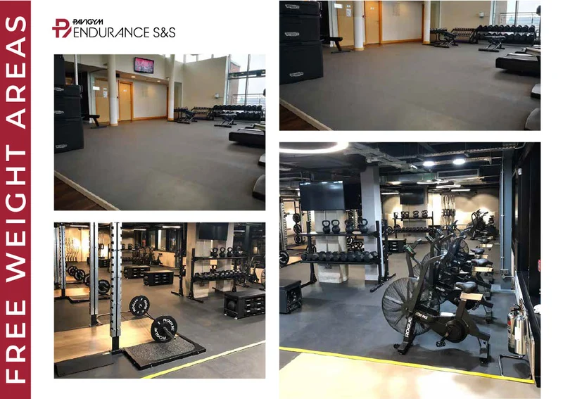 Pavigym Endurance S&S