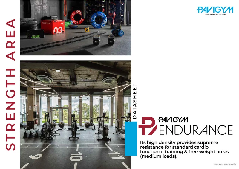 Pavigym Endurance