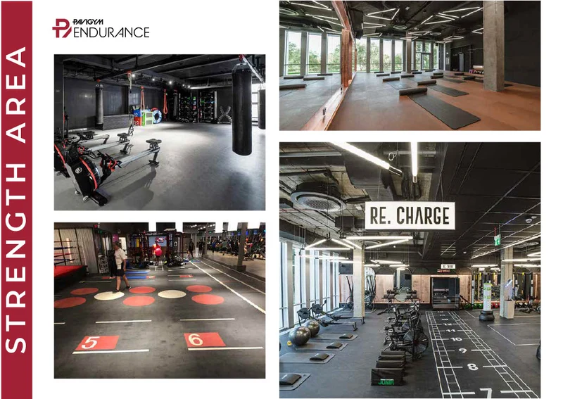 Pavigym Endurance