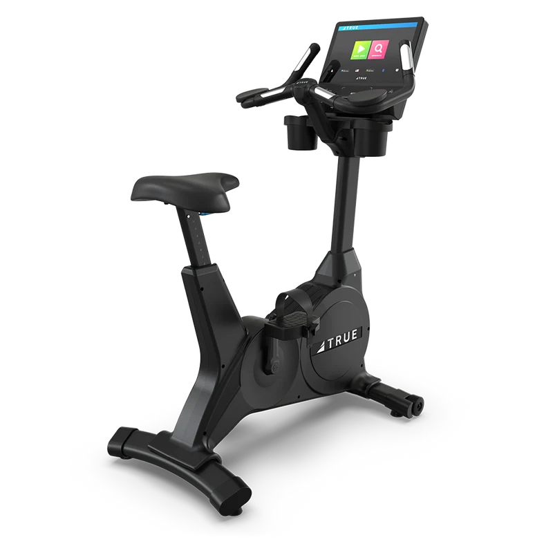 True Fitness Gravity Upright Bike