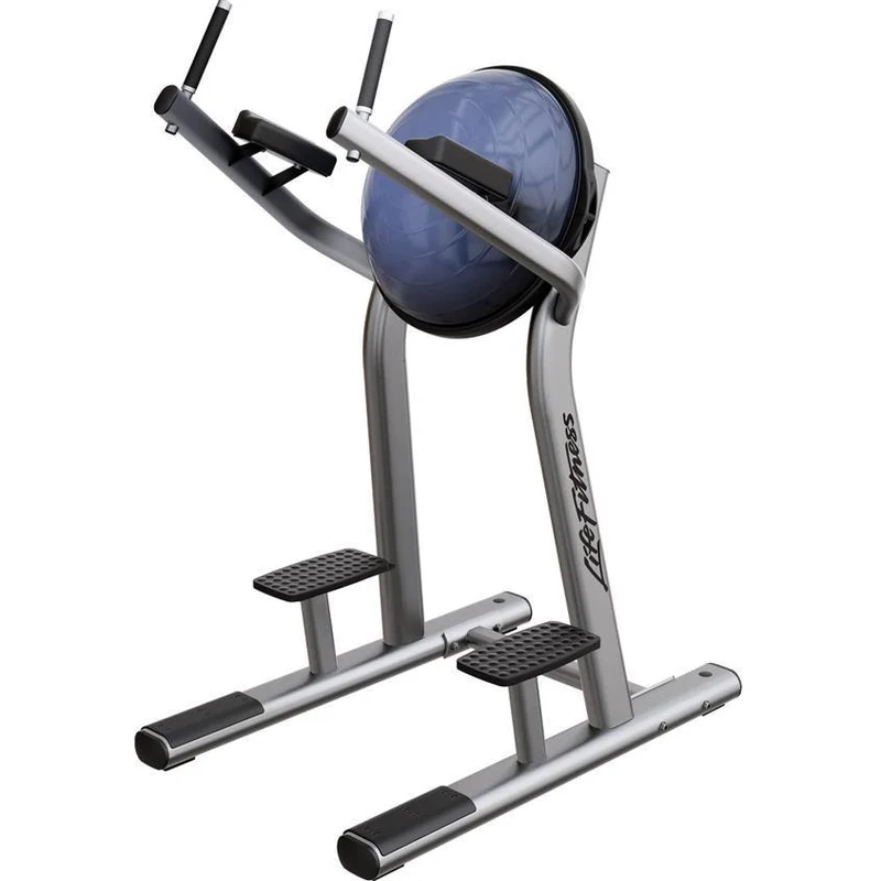Life Fitness Signature Series Leg Raise