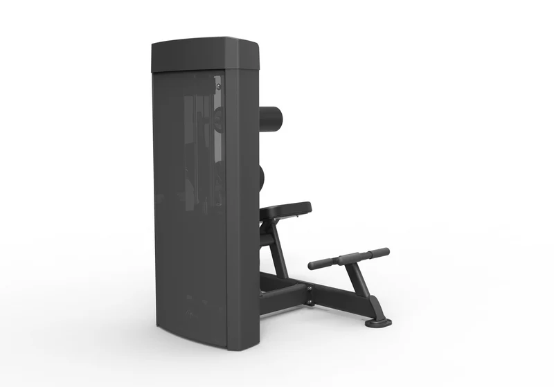 Spirit Dual Leg Press / Calf Extension