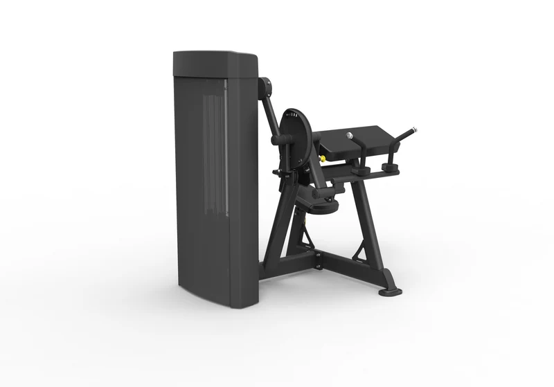 Spirit Dual Biceps Curl / Triceps Extension
