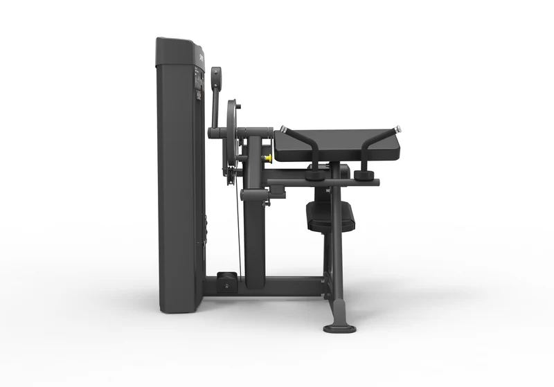 Spirit Dual Biceps Curl / Triceps Extension