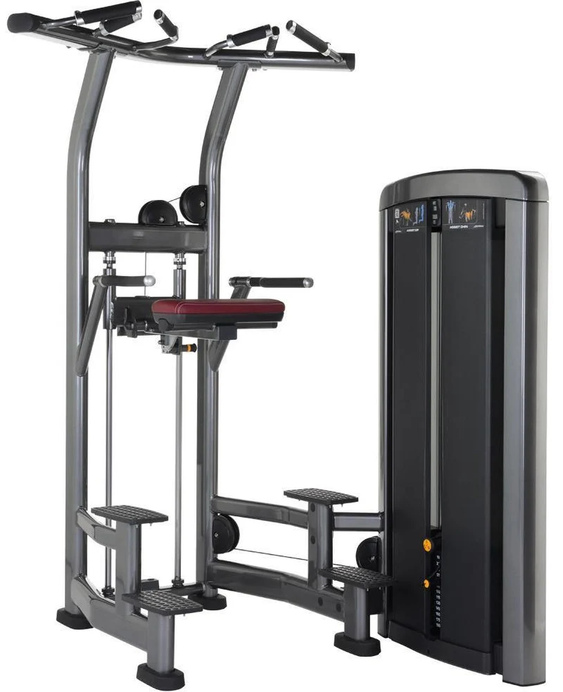 Life Fitness Insignia Series Assist Chin Dip Selectorised