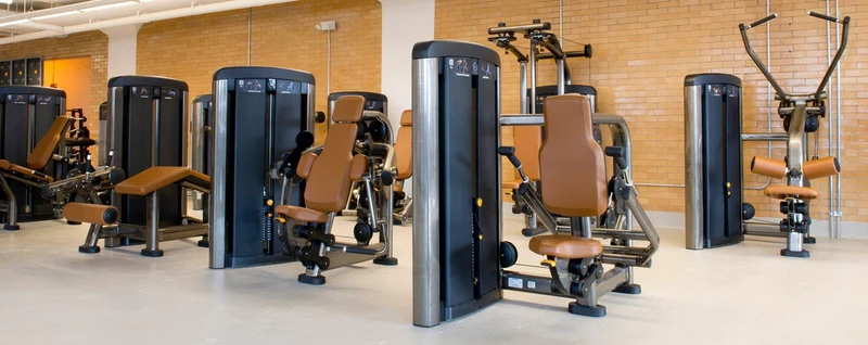 Life Fitness Insignia Series Assist Chin Dip Selectorised