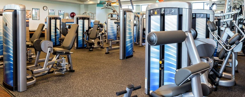 Life Fitness Insignia Series Assist Chin Dip Selectorised