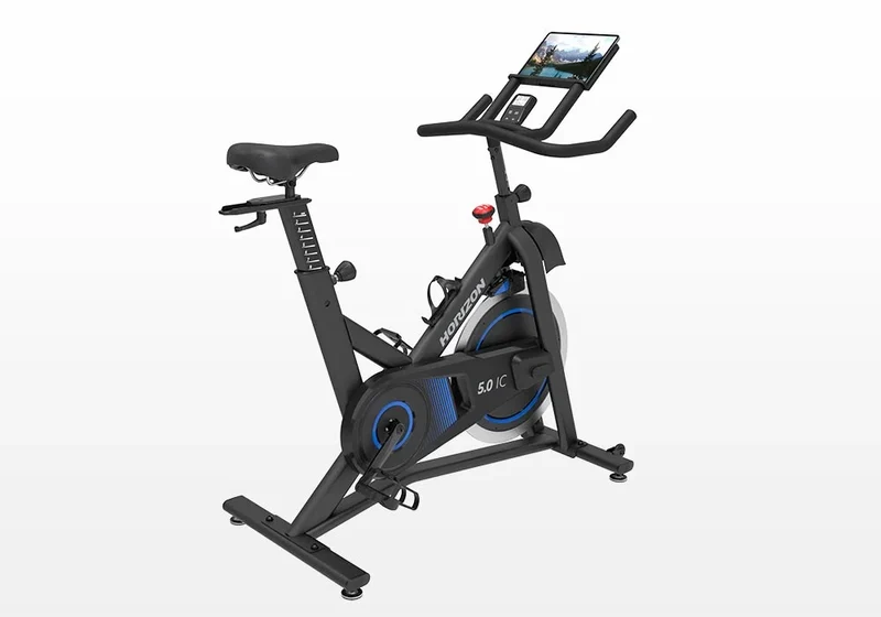 Horizon 5.0IC Indoor Cycle