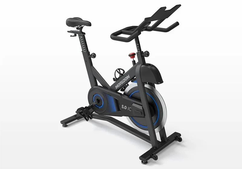 Horizon 5.0IC Indoor Cycle