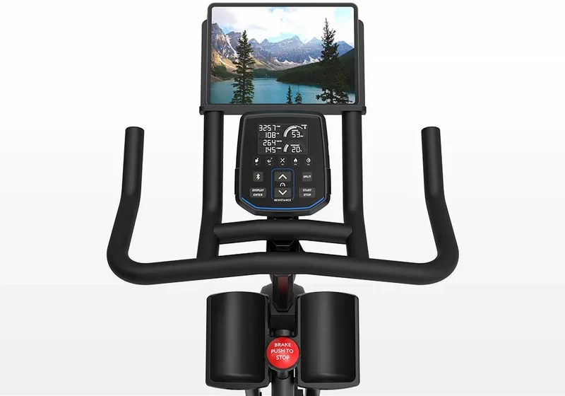 Horizon 7.0IC Indoor Cycle