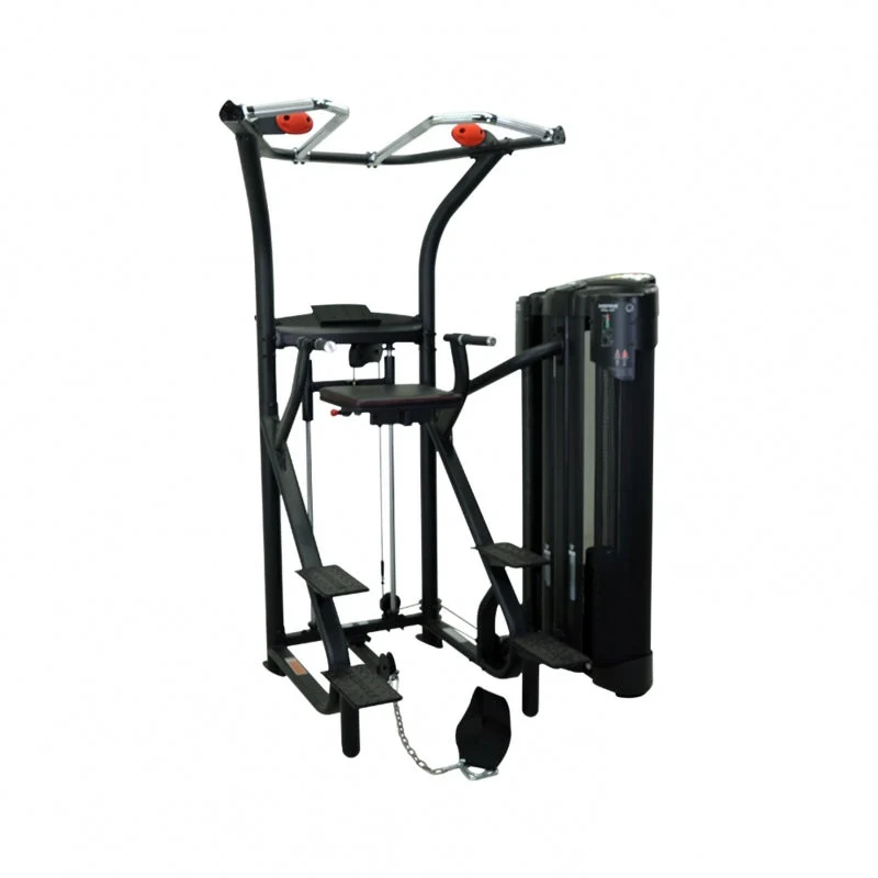 Inspire Fitness Commercial Dual Station Assisted Chin/Dip