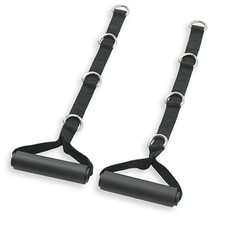 Inspire Fitness Multi-Ring Handle