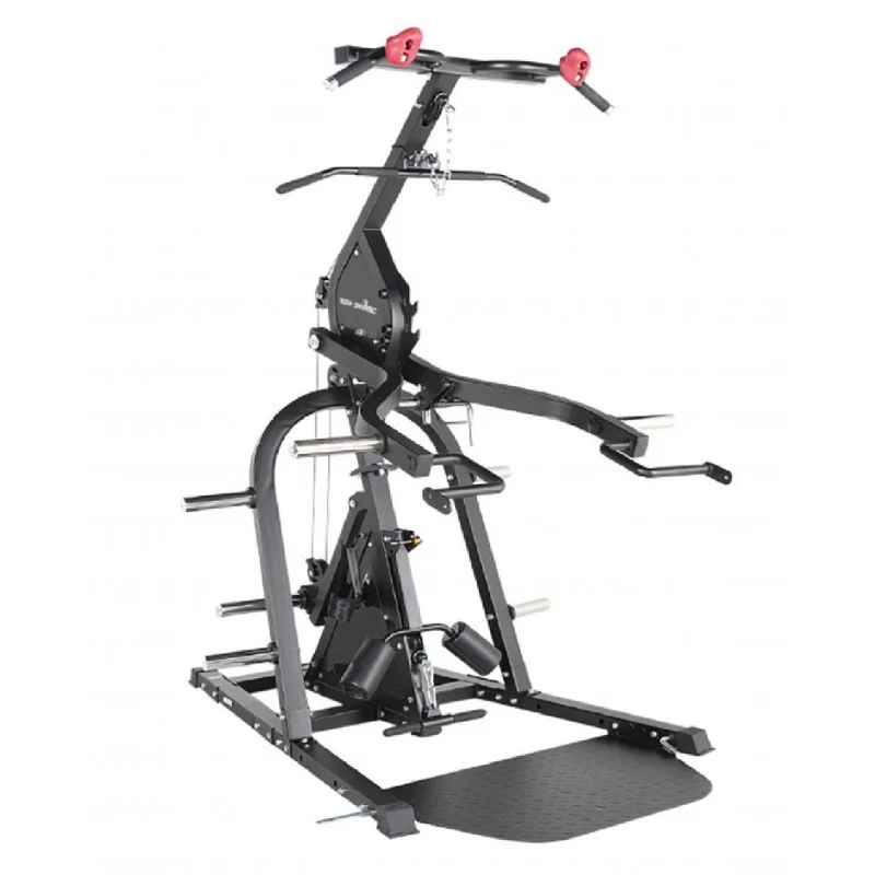 Body Dynamic L409 Leverage Gym