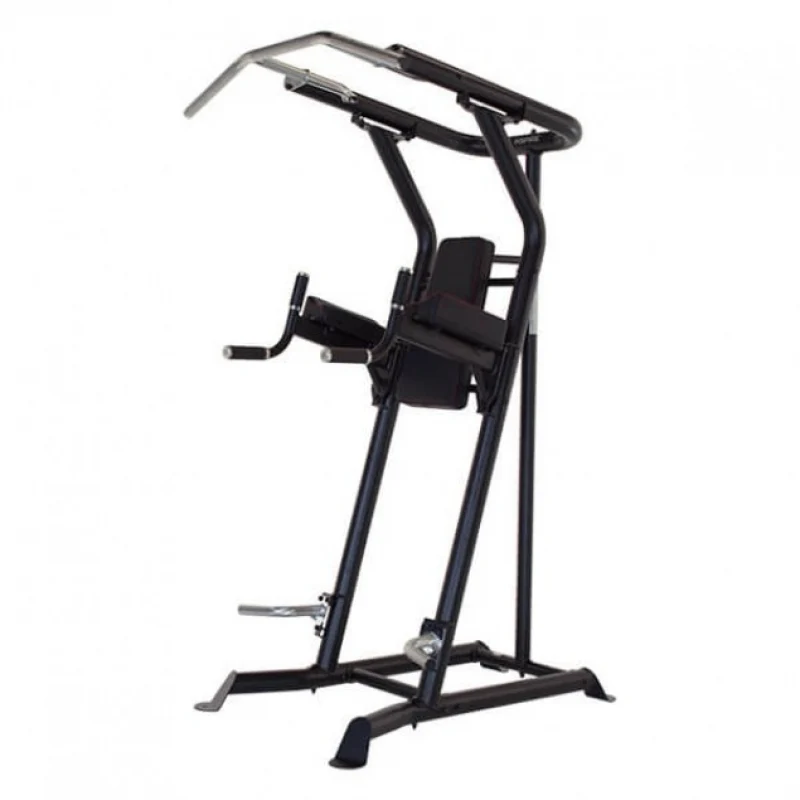 Inspire Fitness Power Tower