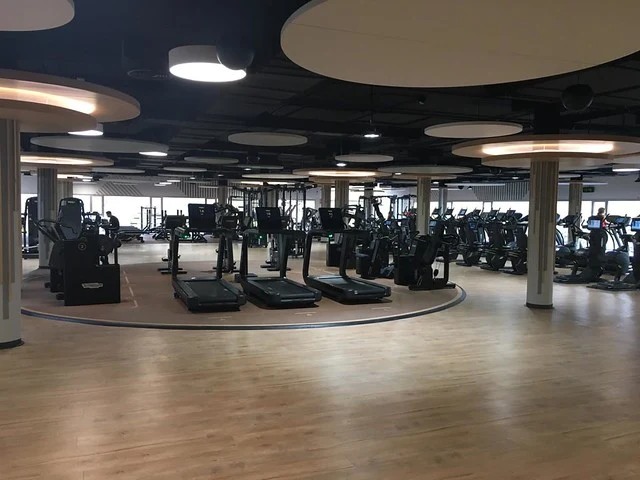 Pavigym Traffic