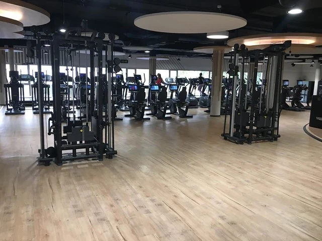 Pavigym Traffic