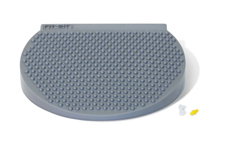Physical Company Fit-Sit Disc