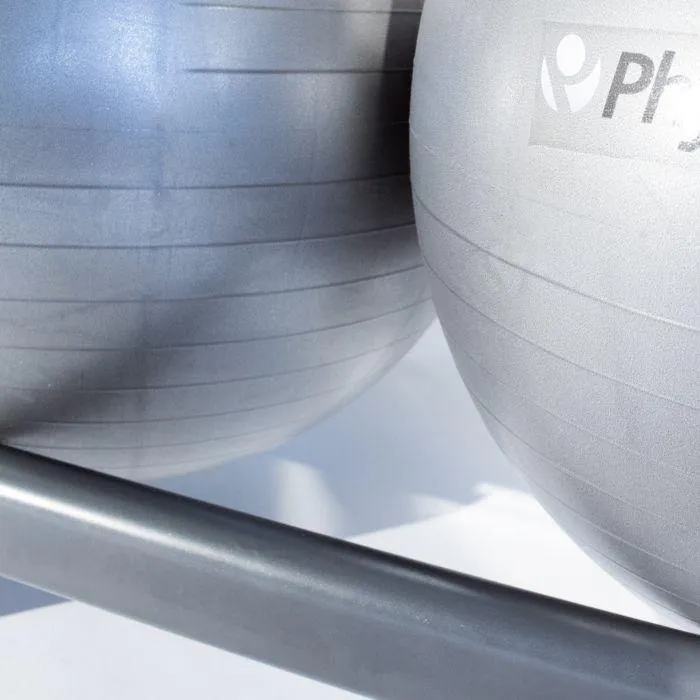 Physical Company 4 Stability Ball Wall Rack (Empty)