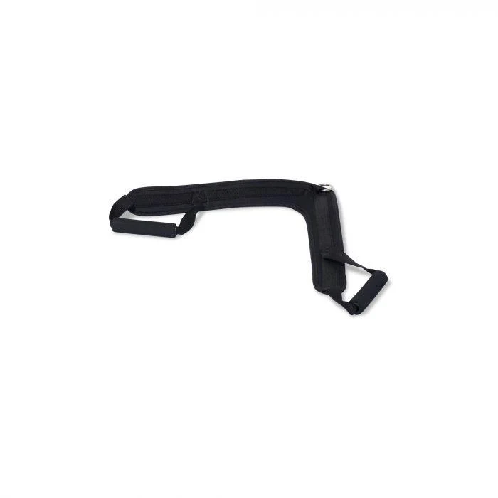 Physical Company Ab Crunch Harness