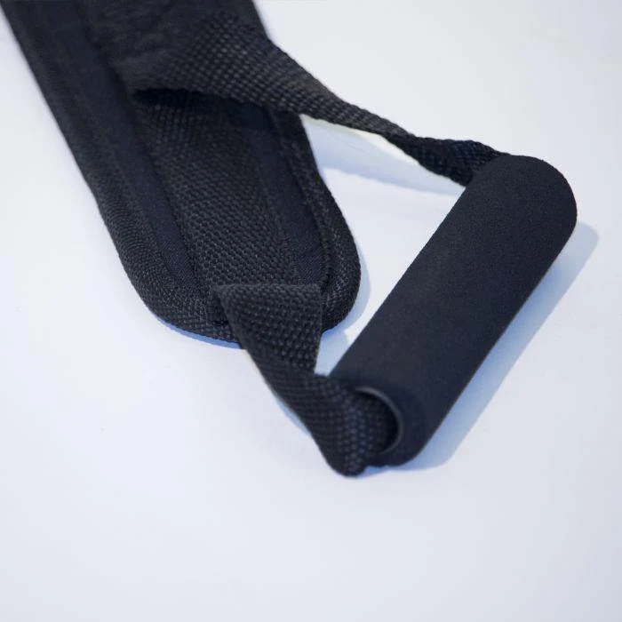 Physical Company Ab Crunch Harness