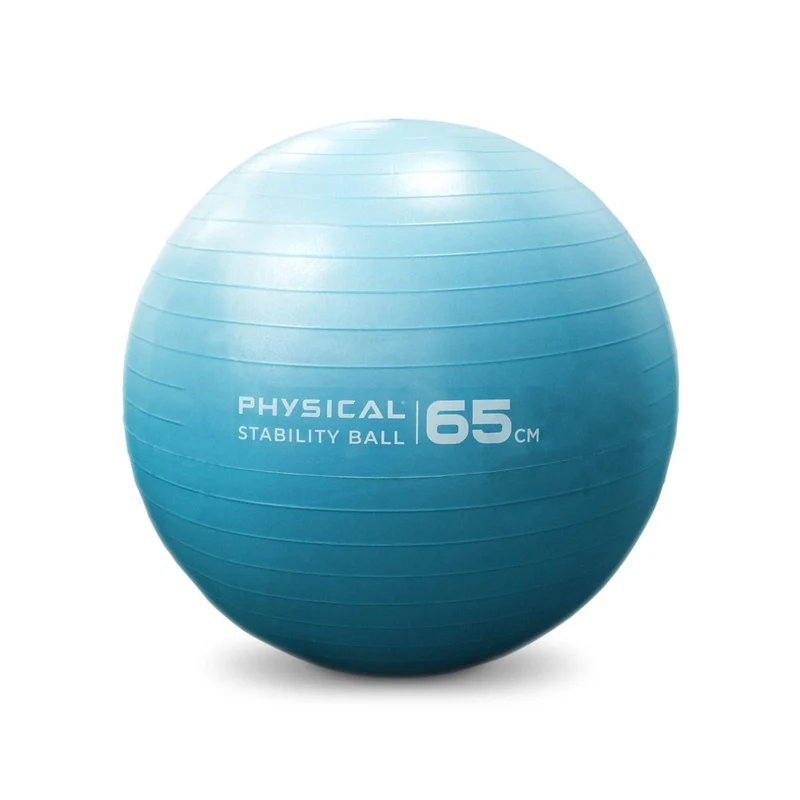 Physical Company Stability Ball