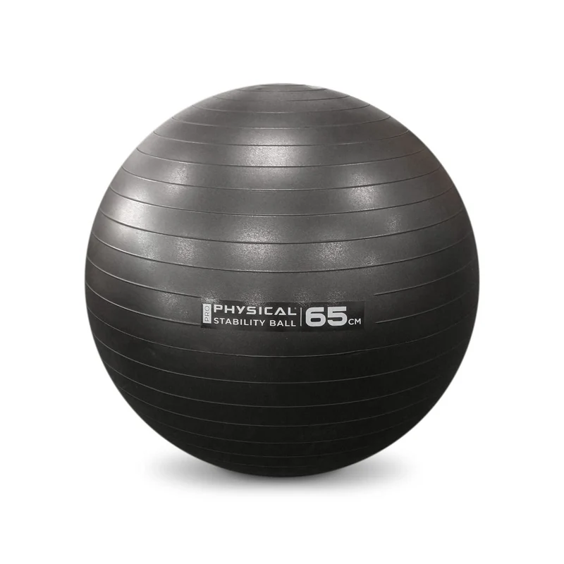 Physical Company Pro Stability Ball