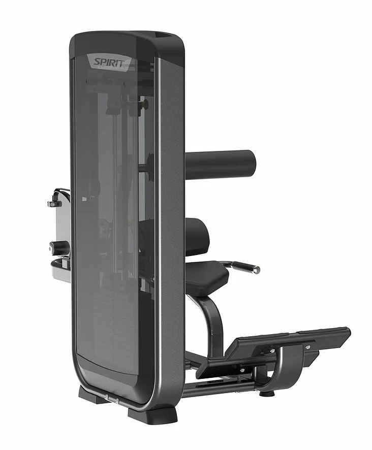Spirit 35 Pin Select Back Extension Machine