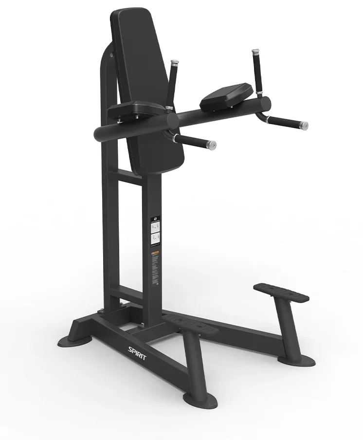Spirit Leg Raise/Dip Machine