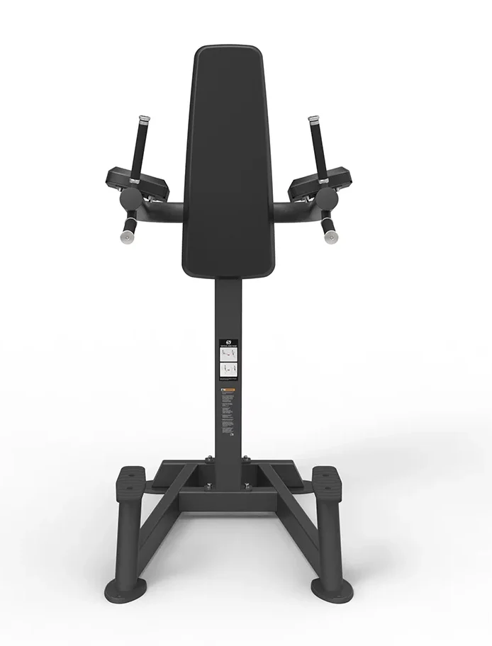 Spirit Leg Raise/Dip Machine