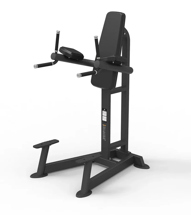 Spirit Leg Raise/Dip Machine