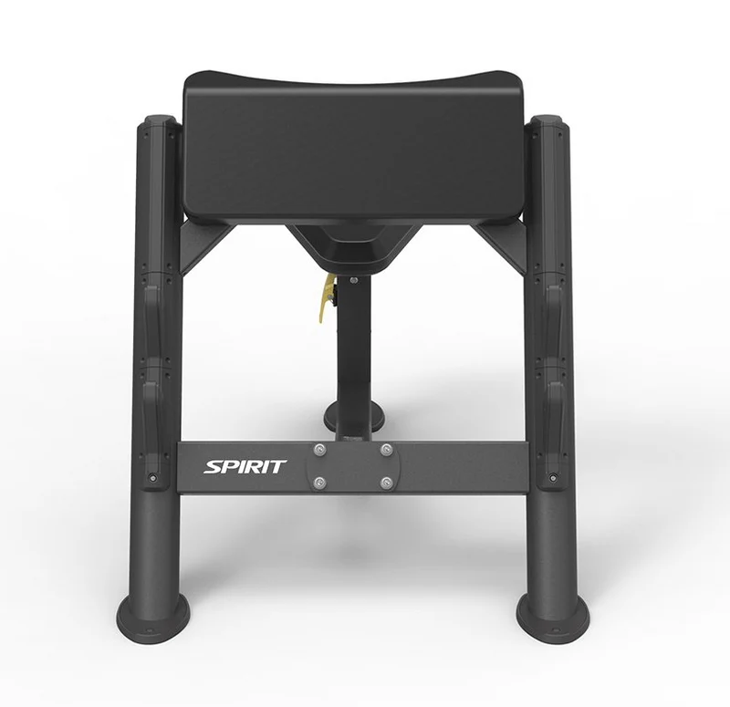 Spirit Preacher Curl Bench