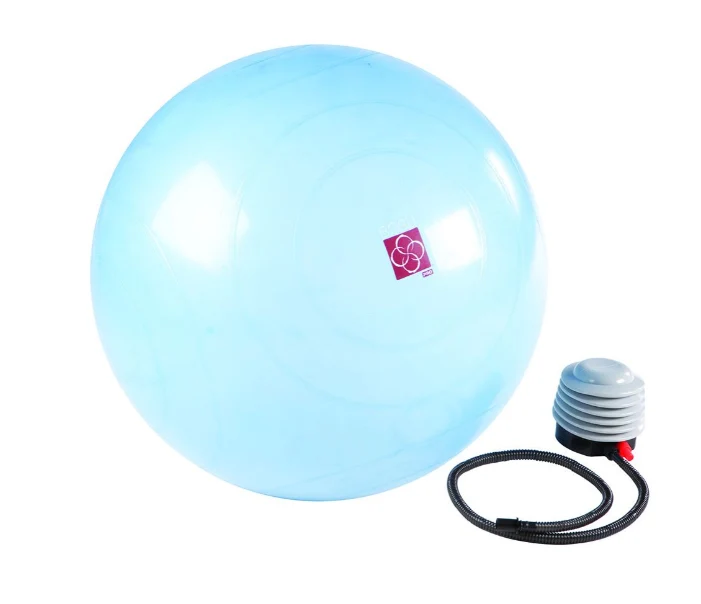 Bosu Ballast Ball 65cm